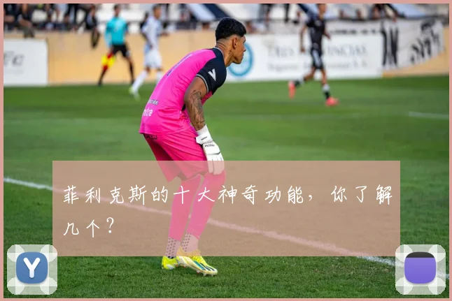 菲利克斯的十大神奇功能,你了解几个?