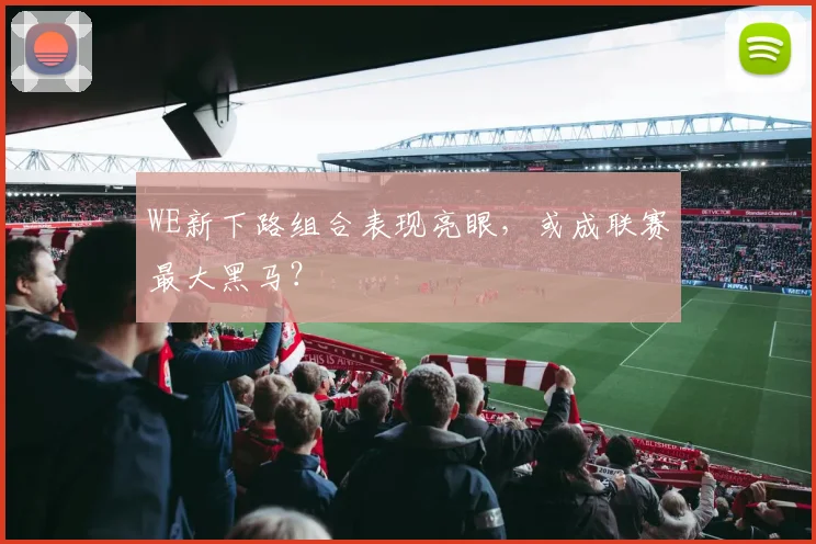 WE新下路组合表现亮眼，或成联赛最大黑马？
